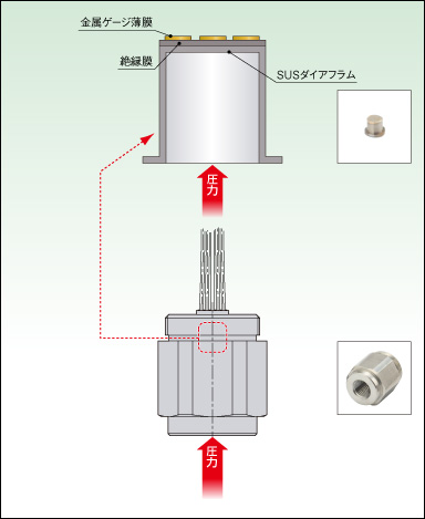 薄膜式圧力センサの構造と動作説明